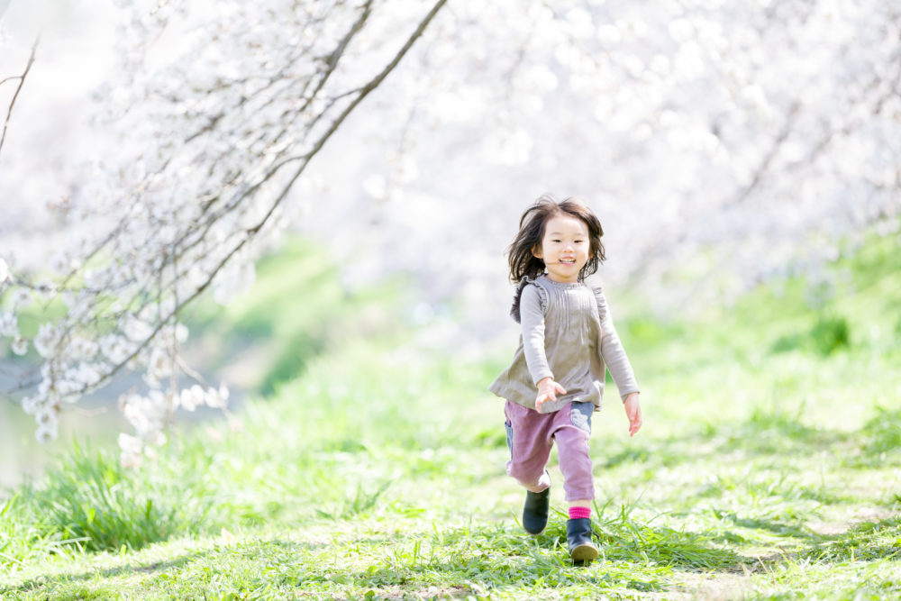 20190401-DSC_8339 20190401-DSC_8339